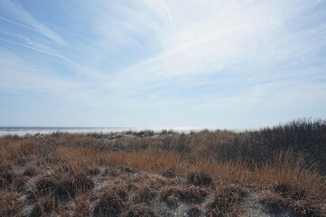 Ocean Beyond Dunes with Bright Blue Sky on Sunny Day