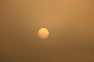 Golden sun in the fog close-up. Morning fog. Mysterious foggy background. Murmansk.