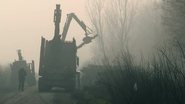 Loading Felled Trees ; Loading wooden logs on a trailer