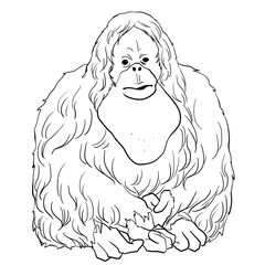 Simple orangutan line art illustration