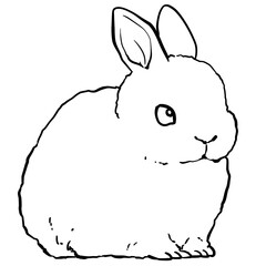 Simple rabbit line art illustration