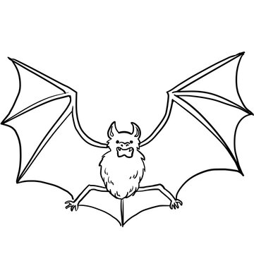 black and white bat flying