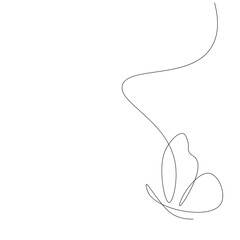 Butterfly animal line drawing, vector illustration