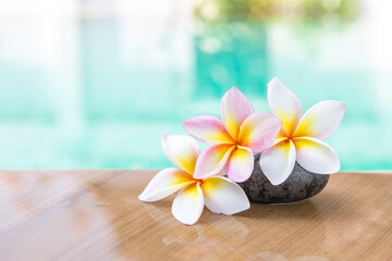Fototapeta na wymiar Beautiful fresh plumeria flower over blurred pool water background, summer and spring season concept, outdoor day light, spa and wellness background idea