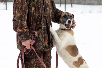 Portrait of senior dog in a shelter. The caretaker walks a blind dog with a cataract.