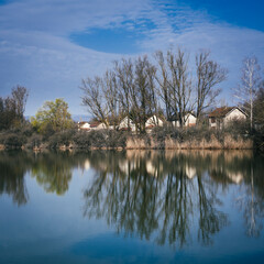 Landscape with trees, reflecting in the water