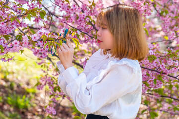 Fototapeta premium スマートフォンを使う若い女性と河津桜