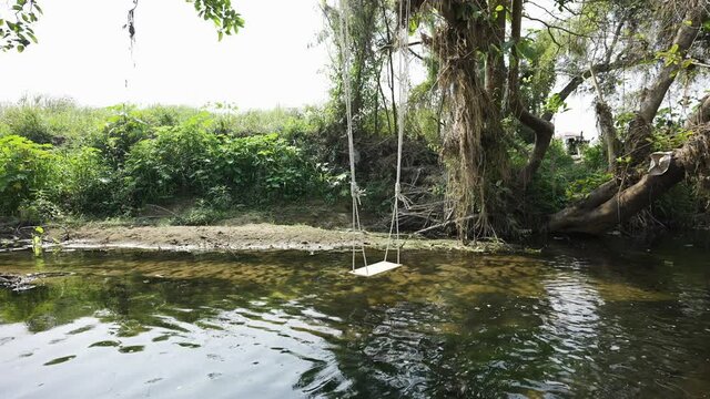 The hammock tied down from the tree, slowly descending down the edge of a flowing stream.
