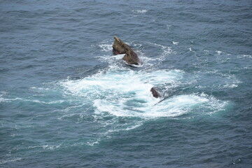 Fototapeta premium Klippen an der baskischen Atlantikküste