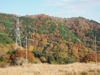 秋の伊吹山の山道