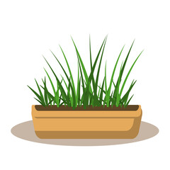 vector illustration of a pot with germinated seedlings. Isolated on a white background