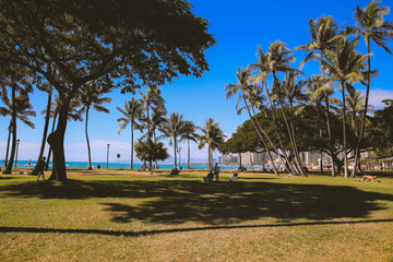 Palm trees by the sea at Kapolani Regional Park, Waikiki, Honolulu, Oahu, Hawaii
