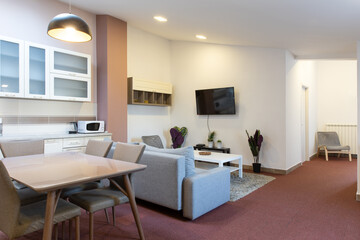 Kitchen and living room,  apartment interior