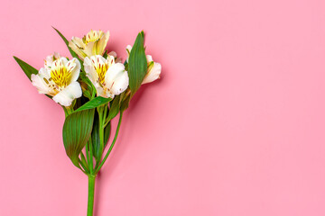 bouquet of alstroemeria flowers isolated on white background Top view Flat lay Floral holiday card 8 March, Happy Valentine's day, Mother's day, Spring concept Mock up