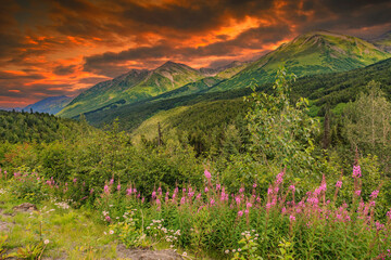 Picturesque Mountains of Alaska in summer. Snow covered massifs, glaciers and rocky peaks. Beautiful natural background.