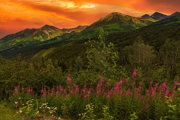 Photo sur Plexiglas Denali Picturesque Mountains of Alaska in summer. Snow covered massifs, glaciers and rocky peaks. Beautiful natural background.