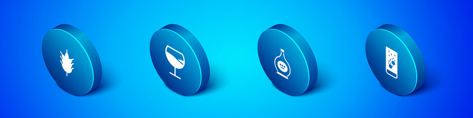 Set Isometric Hop, Bottle of cognac or brandy, Effervescent tablets in water and Wine glass icon. Vector.