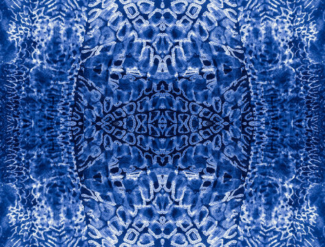 Graphic Snake Print. Blue Reptile Leather. Black