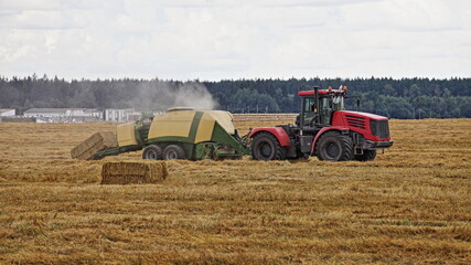 Modern red wheeled tractor picks up hay and presses straw into rectangular blocks on a harvested field on an autumn day, agricultural machinery in farming