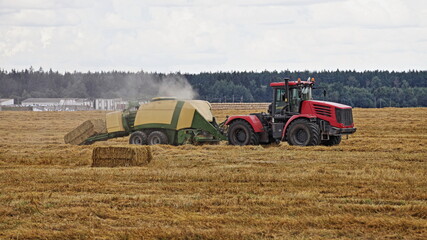 Modern red wheeled tractor picks up hay and presses straw into rectangular blocks on a harvested...