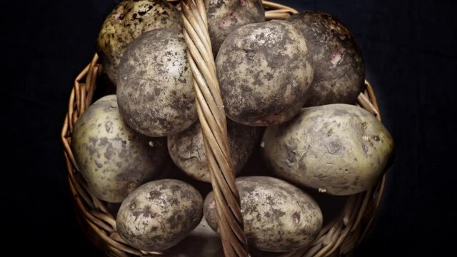 Composition of vegetables, rotation of a basket with root vegetables, potatoes, on a black background