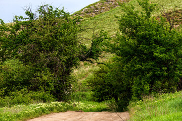 Rural dirt road in village area