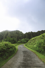 Fototapeta na wymiar Hoomaluhia Botanical Garden, Koolau Range ,Oahu Hawaii