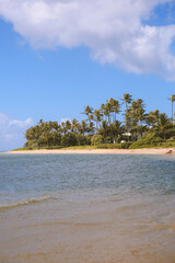 Waialae Beach Park Honolulu Oahu Hawaii | Sea Nature Ocean Landscape Travel 