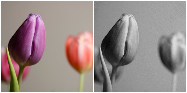 Dither patterns, special black and white method