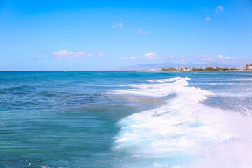 Magic Island Ala Moana Beach Park Oahu island Hawaii | Plants Nature Landscape Travel

