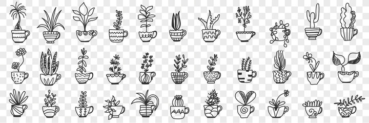 Plants in pots doodle set. Collection of hand drawn various homegrown pants and flowers in pots for home interior decoration isolated on transparent background
