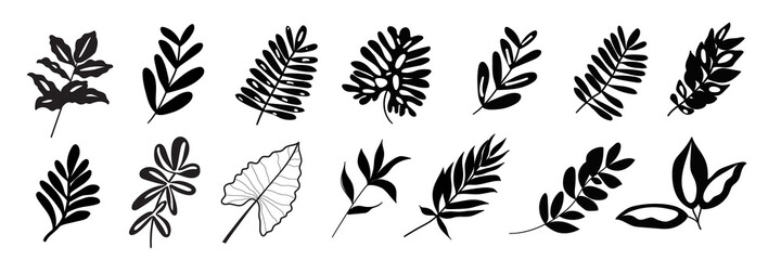Tropical exotic leaves hand drawn vector set. Black silhouettes of palm leaves and herbs leaves
isolated on white background.