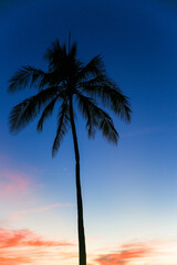SUNSET BY THE SEA Ala Moana Beach Park Honolulu Oahu Hawaii
