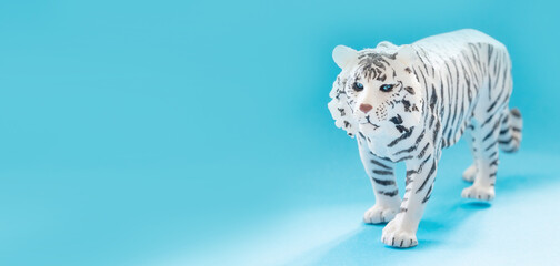 white tiger as a symbol of the new year 2022 on the Chinese calendar on a blue background