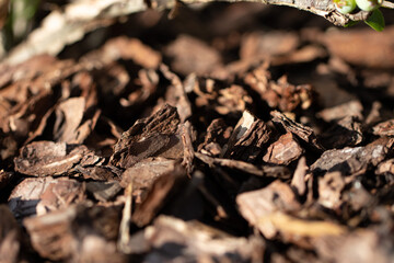 Brown Mulch Background. Beautiful Nature Garden Textures
