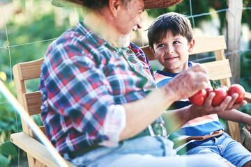 Grandfather with grandson sitting in the vegetable garden