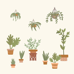 A set of indoor plants. Cartoon flowers for an apartment or greenhouse drawn by hand. Collection of vector illustration elements for the interior of an apartment. Vector illustration
