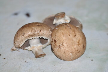 Mushrooms for pancake filling