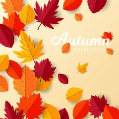 Autumn background with flat leaves design