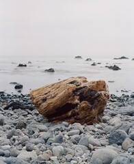 rocks on the beach
