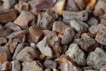 Raw Natural Baltic Amber Loose Pieces. Unpolished