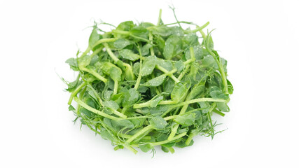 fresh micro greens pea isolated on white background