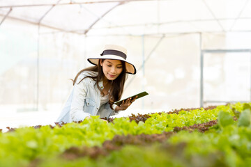 Smart young asian farmer  using tablet to check quality and quantity of organic hydroponic vegetable garden at greenhouse