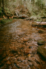 Ligatne river flowing through scenic forest with fallen leaves and trees near Ligatne, Latvia during cloudy autumn day