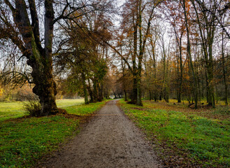 Fototapeta na wymiar Nice walking path in autumnal forest surrounded by colorful trees and beautiful nature in Veltrusy, Czech Republic.