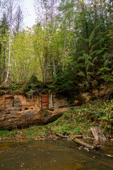 Cave cellar in a sandstone cliff by the Ligatne river hiking trail near Ligatne, Latvia during cloudy autumn day