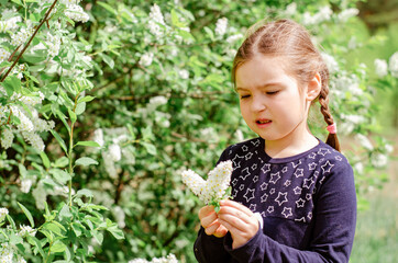 Little girl 6 years old with long hair in the garden sniffing white flowers of bird cherry. Spring bloom concept.