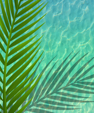 Green Palm Shadow on Pool with shimmering reflections on water 