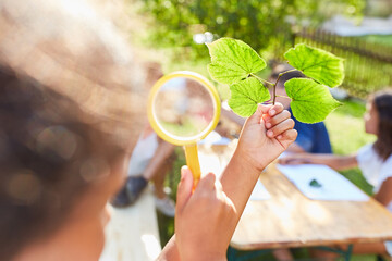 Kinder betrachten Blätter durch eine Lupe