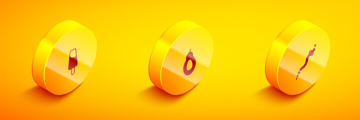 Set Isometric Popsicle ice cream, Avocado and Snake icon. Vector.